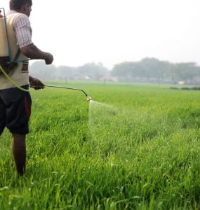 Food Scares . . . time to call the bluff!!! Nutrition Meets Food Science