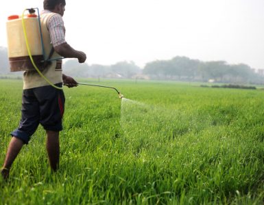 Food Scares . . . time to call the bluff!!! Nutrition Meets Food Science