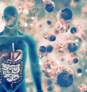 The Power of Protein - Nutrition Meets Food Science 1