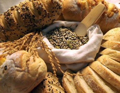 science diet website