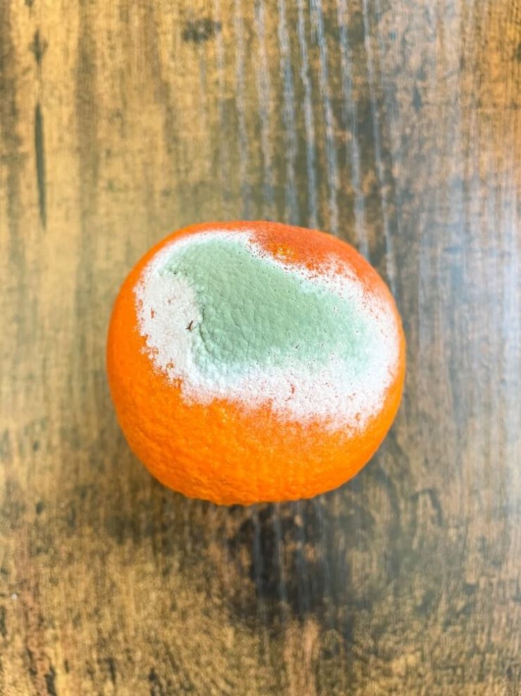 Water Activity and Food Preservation Nutrition Meets Food Science